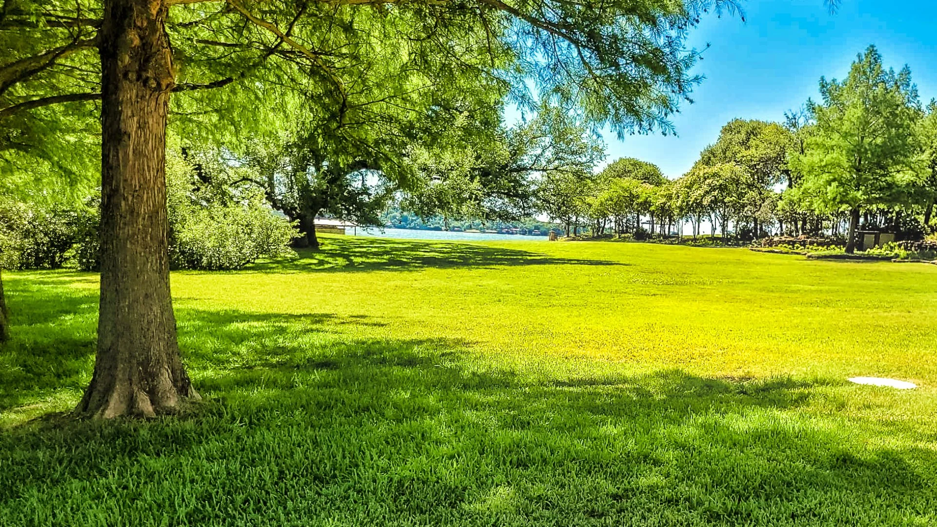 3 Reasons Why Applying Too Much Fertilizer to Your Lawn Is a Big Mistake
