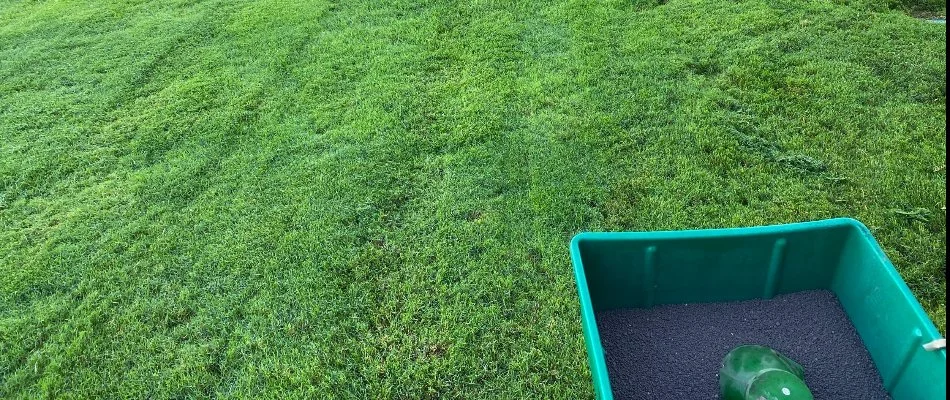 Granular fertilizer in a spreader over green grass in Fort Worth, TX.