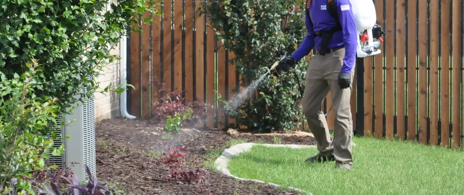 A professional applying a mosquito control treatment on a property in Fort Worth, TX.