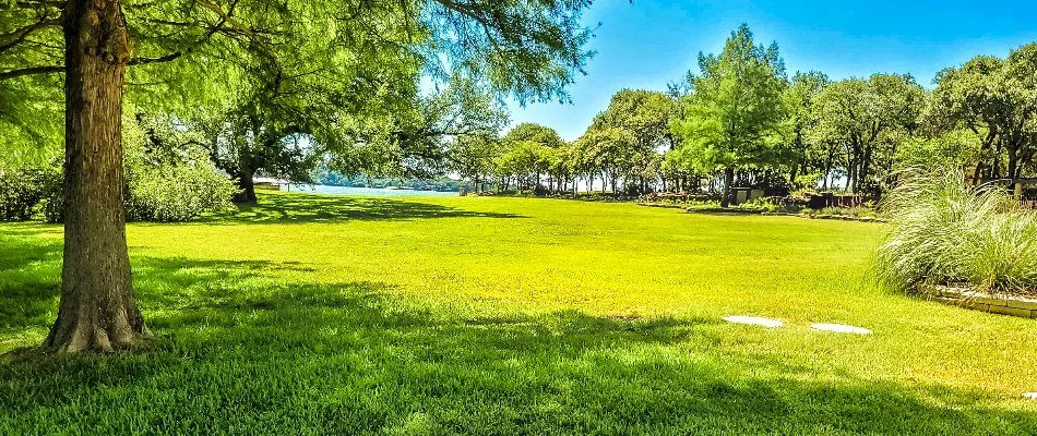 Healthy, lush, green lawn in Fort Worth, TX.