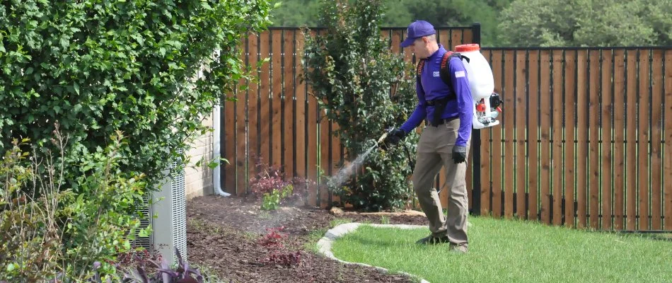 Crew applying pest control treatment on a landscape bed in Watauga, TX.