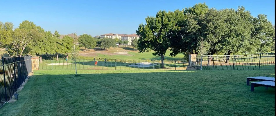 A well-maintained backyard lawn overlooking a golf course, featuring lush green grass and a clear blue sky, with trees and a black fence in the background.