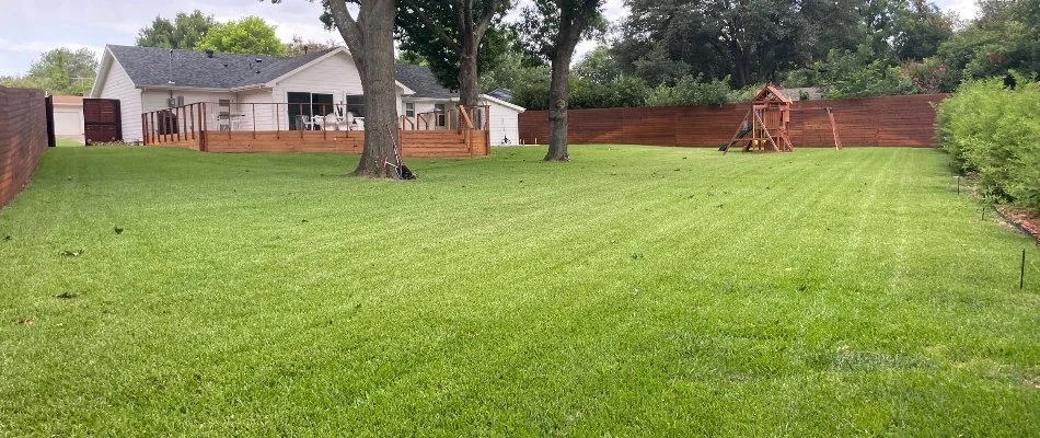 Backyard of house in River Oaks, TX, with green lawn and trees.