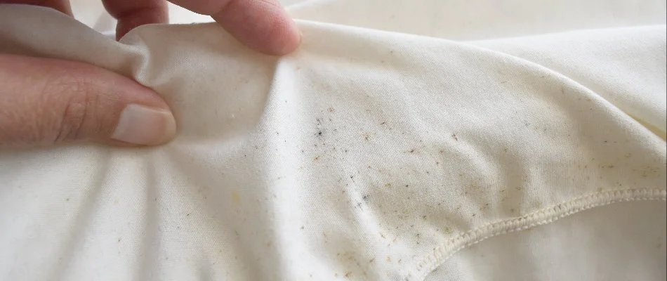 Close-up of a person's hand inspecting a white sheet with noticeable stains and debris, highlighting the need for cleaning or maintenance