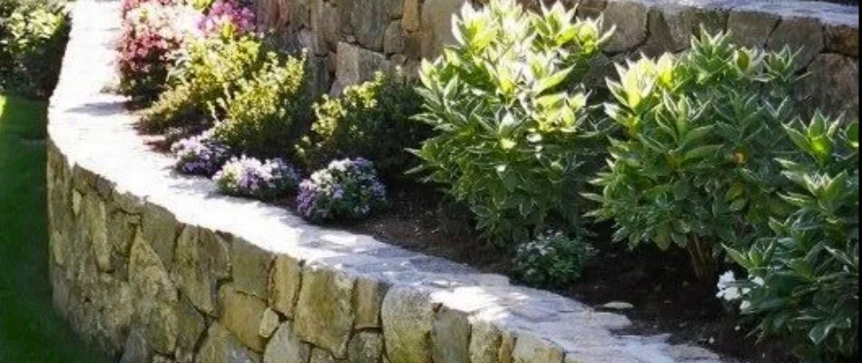 A beautifully designed stone retaining wall curving through a garden, adorned with vibrant flowers and lush greenery, set against a backdrop of a well-maintained lawn.