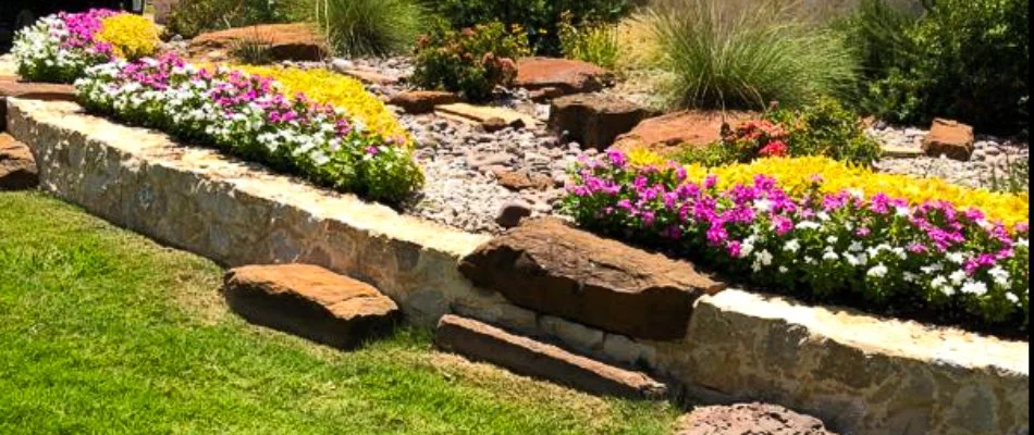 A beautifully landscaped entrance featuring vibrant flower beds, decorative stones, and a sign reading Cielo surrounded by lush green grass and a clear blue sky.