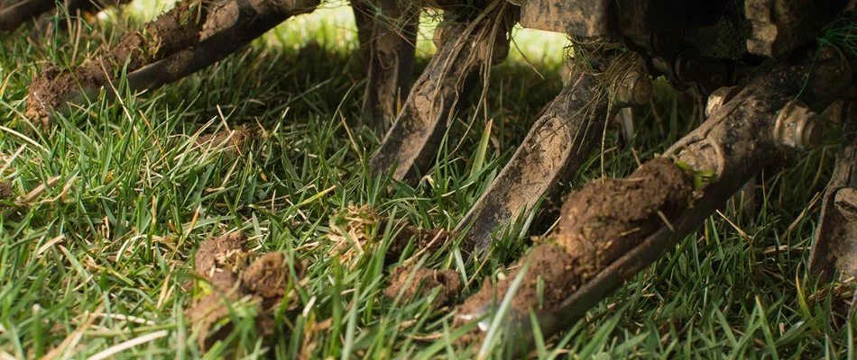 A close-up image depicting the tines of a lawn aerator digging into lush green grass