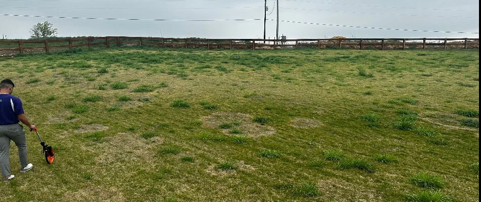 A gardener using a trimmer on an overgrown lawn, featuring patches of grass in varying heights and a cloudy sky above, with a fenced area in the background.