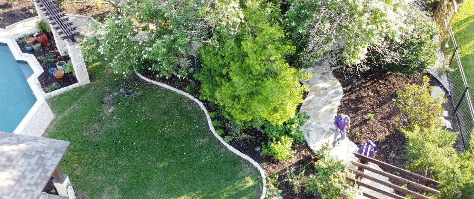 Lawn and landscape in Watauga, TX, with mulch, trees, and shrubs.