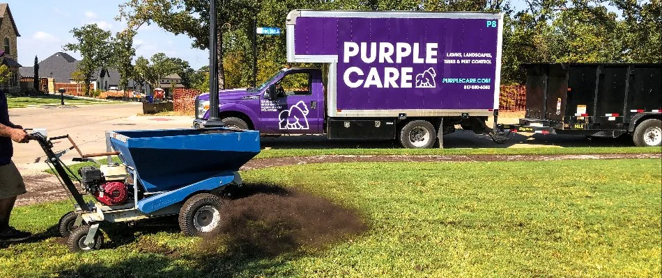 A worker applying lawn treatment using a broadcast spreader on a grassy area, with a purple service truck marked Purple Care parked nearby, on a clear sunny day.