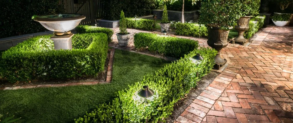 LED lights placed on shrubs by a walkway in Fort Worth, TX.