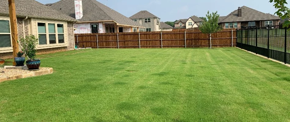 Lush green lawn on a residential property in Decatur, TX, with fence.