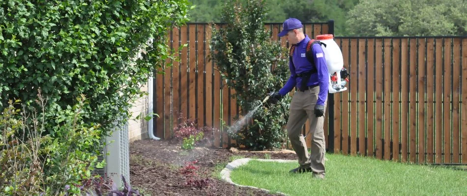 Pest control treatment being applied to a landscape bed in Roanoke, TX.